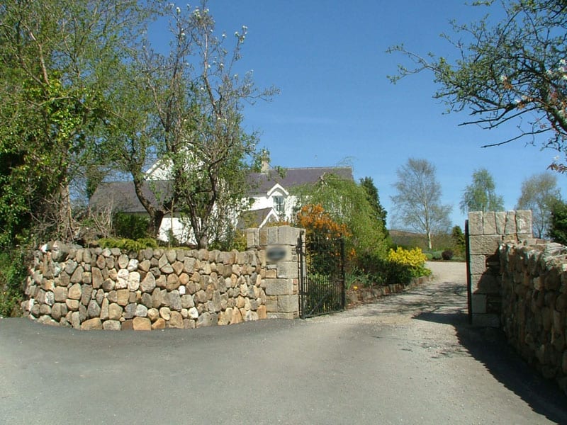 New-House-Driveway-Aughrim-Stephen-Newell-Architects